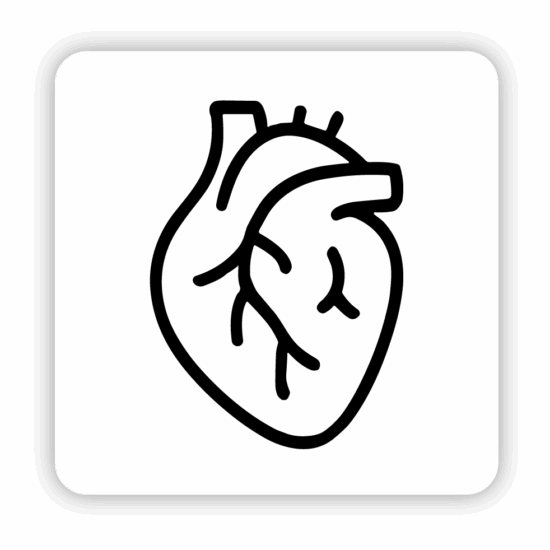 Cardiology