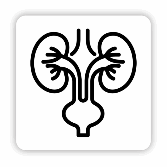 Urology