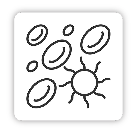 Oncology Haematology